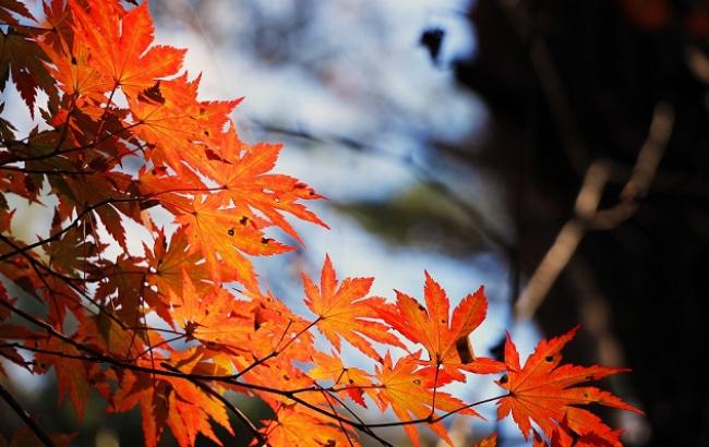 Выходные дни осенью 2019: сколько будут отдыхать украинцы